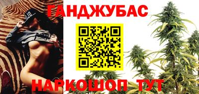 эйфоретик Краснодар