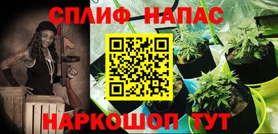 эйфоретик Краснодар